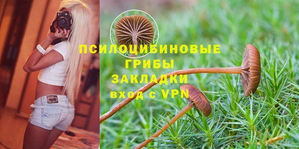 соль курить ск Алексеевка