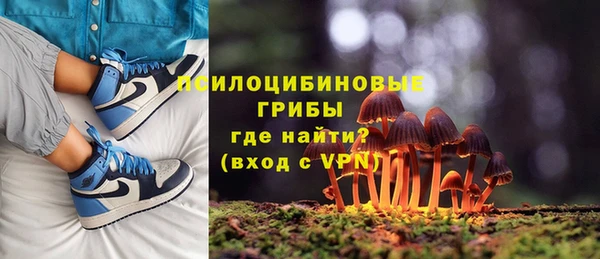 амф Алексин