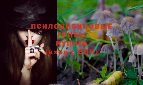 соль курить ск Алексеевка