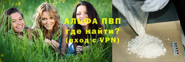 амф Алексин