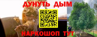 крисы Коммунар