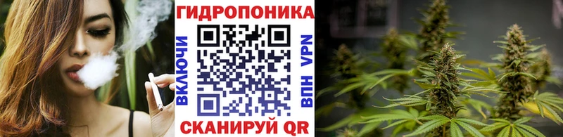 как найти наркотики  MEGA ONION  МАРИХУАНА индика  Кимры 